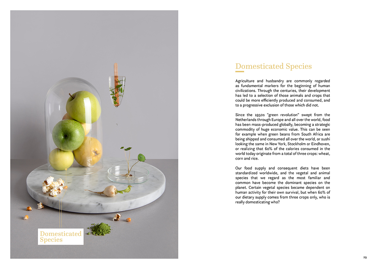 Evolution of the Omnivore an Experiment of Speculative Gastronomy Exploring human diets in a rapidly transforming planet